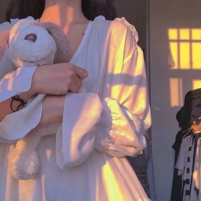 范妮·莱的解救